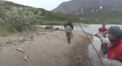 Grizzly Bear Attacks Fishermen